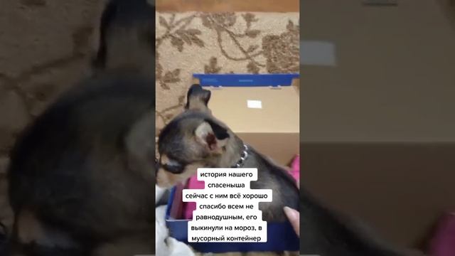 1000508702.mp4