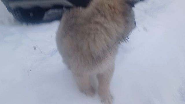 1000028949.mp4