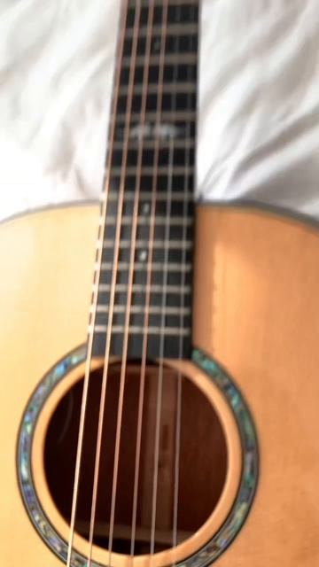 Электроакустика Northerly Gale MINI 1E обзор