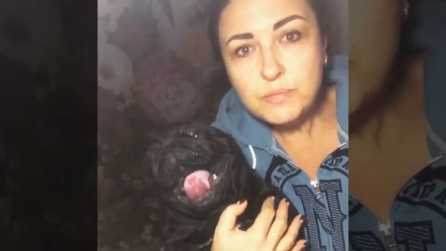 Страшный сон