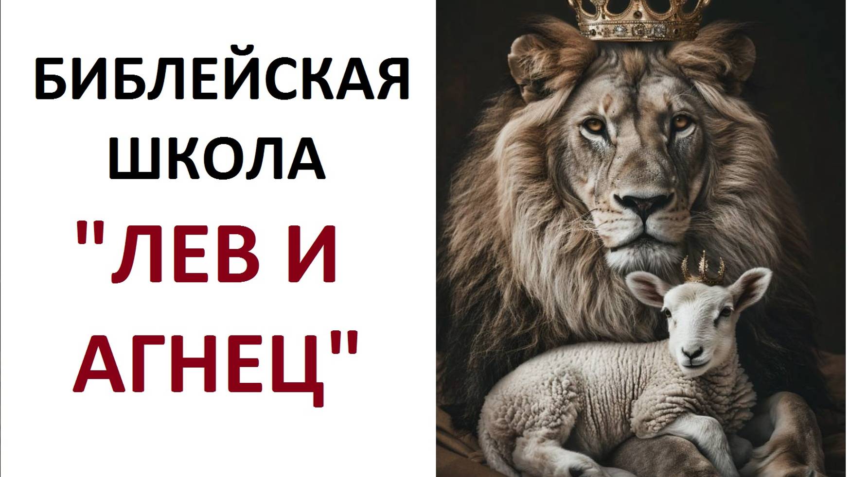 ШКОЛА НАЧАЛАСЬ