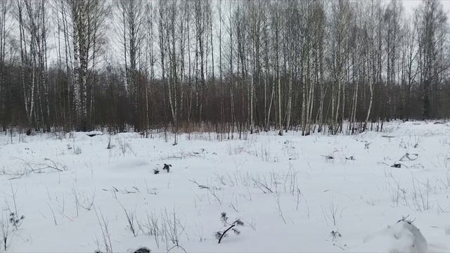 Что ж, взглянем на зимние пейзажи в последний раз