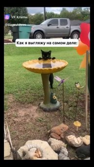 clip-221287802_456248006