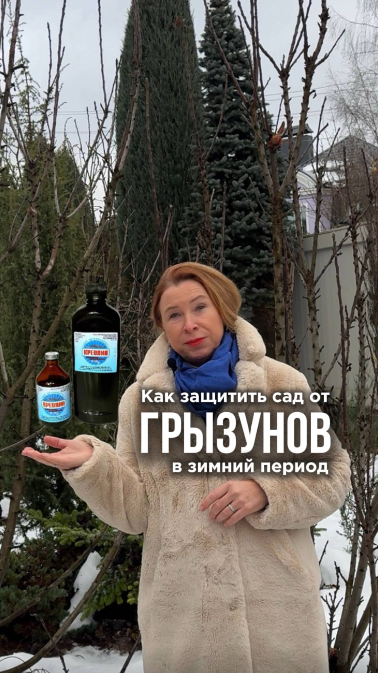 Как защитить сад от грызунов в зимний период?
