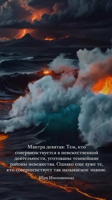 Цитаты