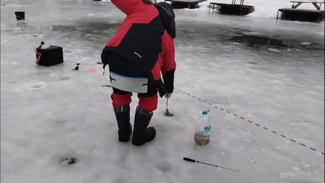 Светлые Горы Форель2 25.01.2025г.