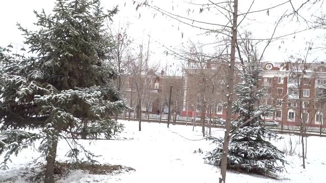 Заснеженные деревья в парке Гагарина. Волгоград