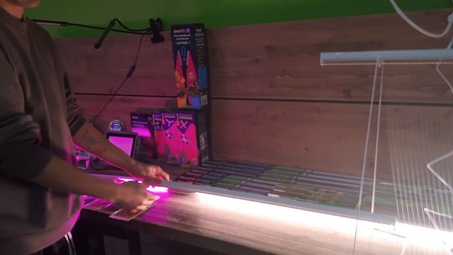 Про фитолампы