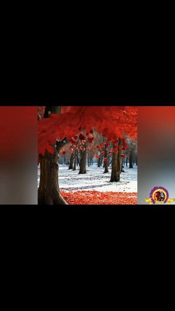 #НейрОткрытка #1 #Татьянин #День #Татьяниндень #Видеооткрытка на стихи автора #Neyrodjproduction