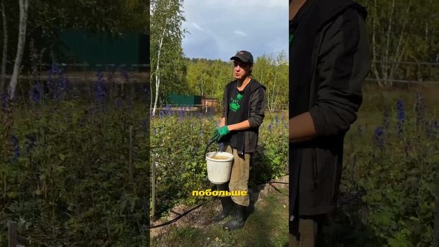 Удобрения на зиму