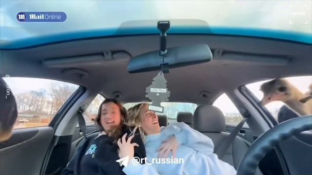 Незванные гости в сафари парке в США