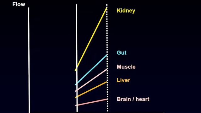 What is circulatory failure De Backer Daniel