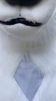 Состояние Костюма Белого Мишки после 6 месяцев использования . Первая версия костюма!