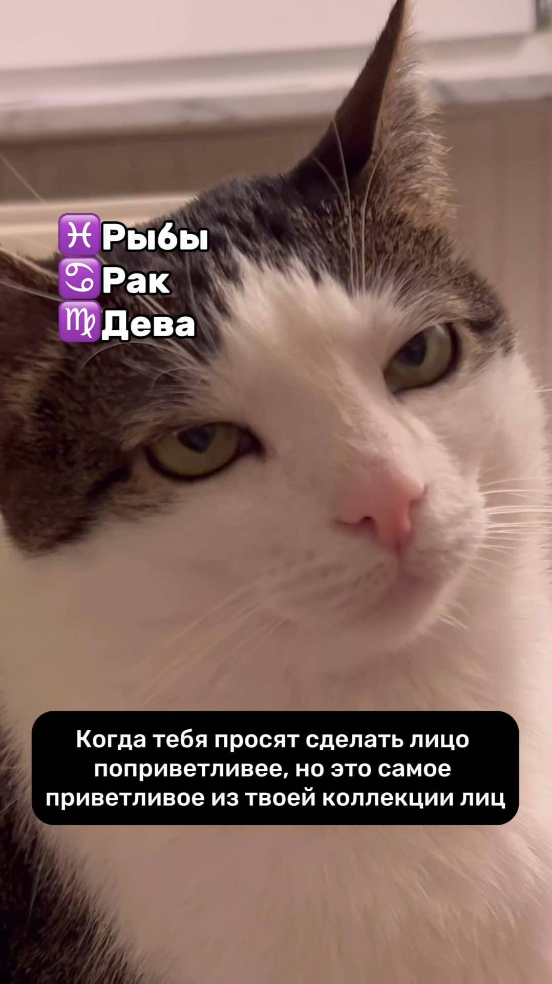 ТОП-3 пессимиста по знаку зодиака 😞 #натальнаякарта #астрология #астролог #знакизодиака #эзотерика