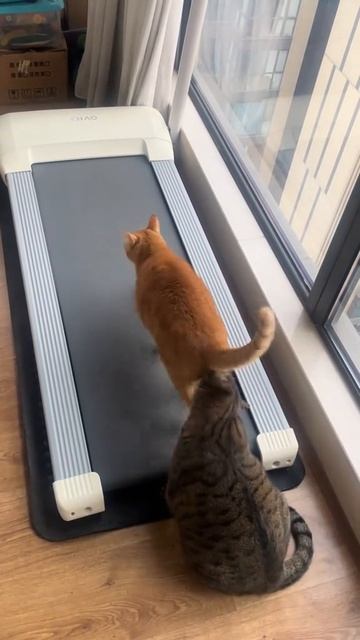 1000400364.mp4