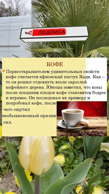 Кто первый выпил кофе?