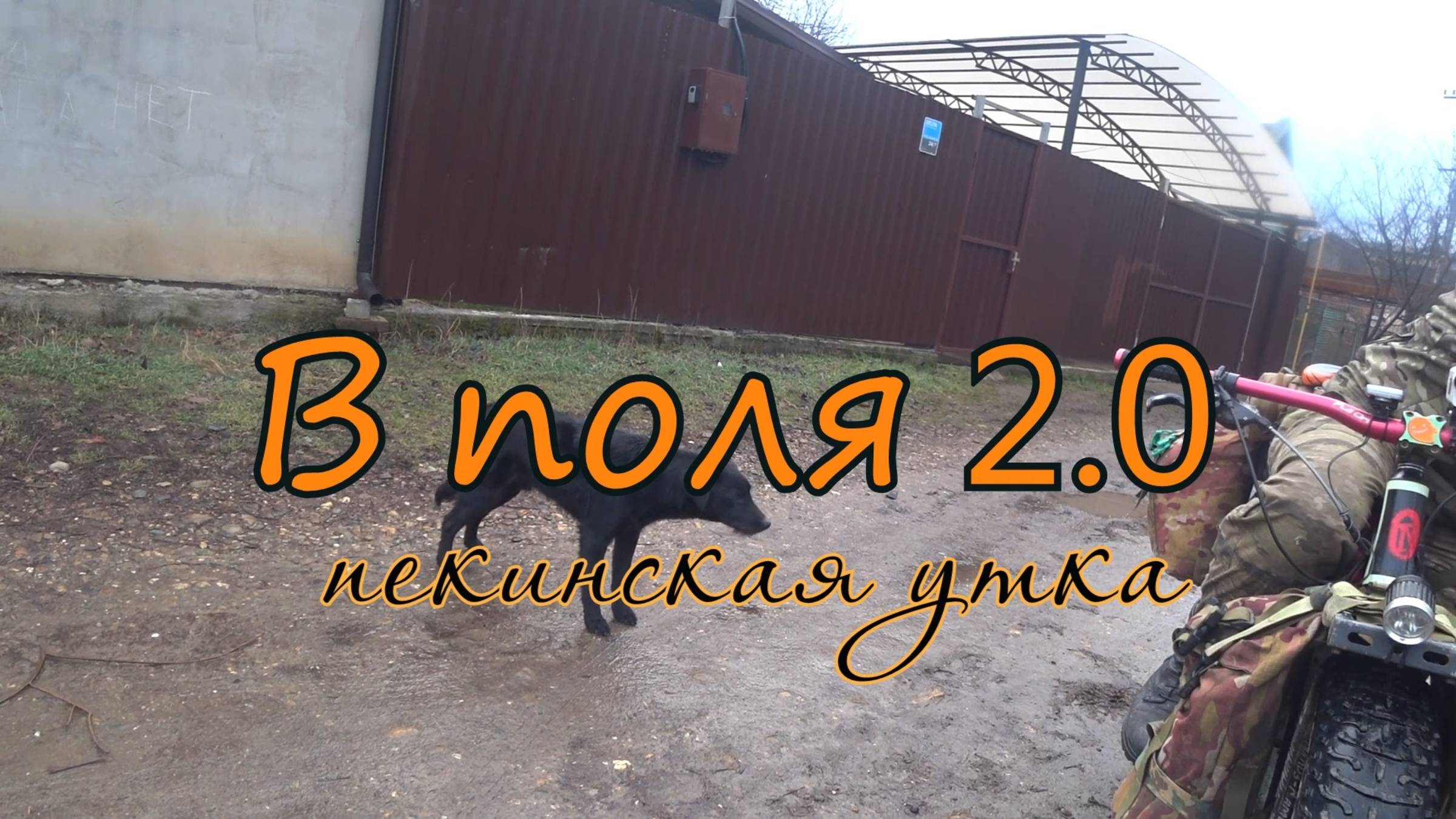 2023.02.04 В поля 2.0. Пекинская утка.