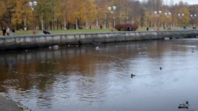 5e1120e6231f4529e2e6ec651ab0f653_1737736314439.mp4