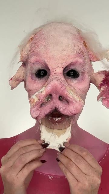 🐷🐷🐷🐷🐷🐷🐷