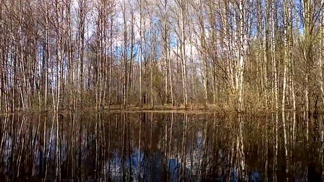 Прогулка на байдарке по маленькой реке.  Май 2022г.