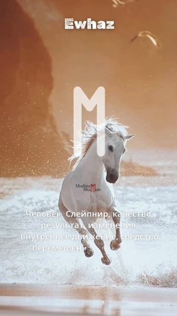 Эваз/Ewhaz