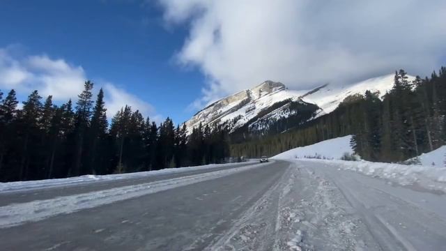 Subaru Outback VS iPhone 11 Pro Max