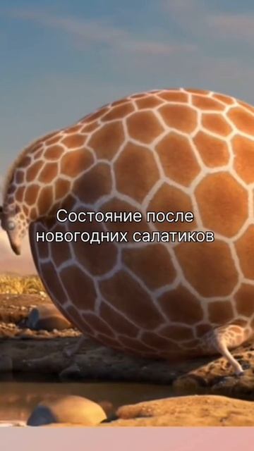состояние после новогодних салатиков