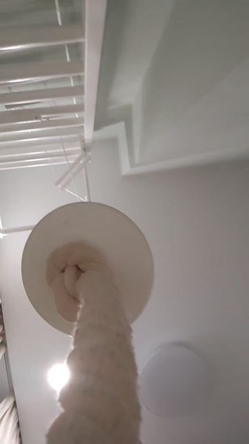 scene_output.mp4