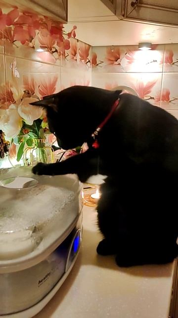 Йогурт, у тебя совесть есть? Ты когда собираешься приготовиться? Я кушать уже готов!