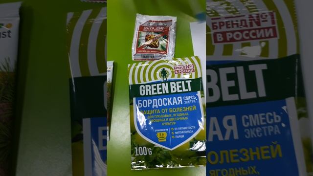 Чем обработать поражённые листья черемухи?