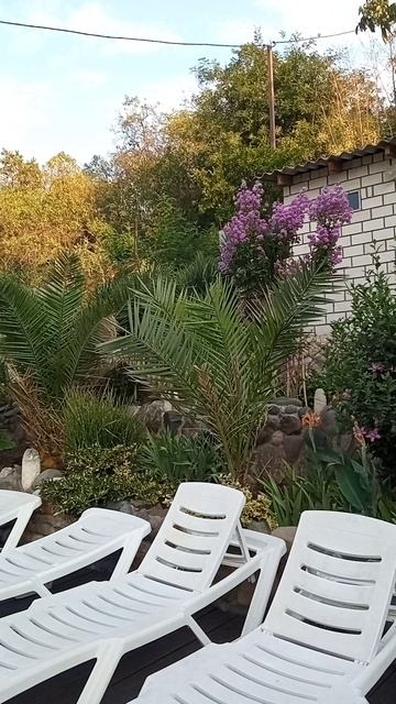 VID_20240712_064204.mp4