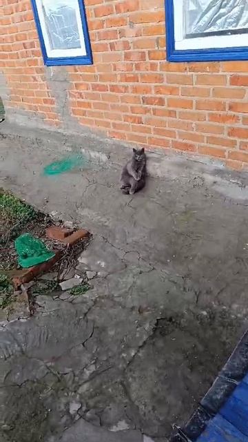 1000185817.mp4