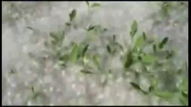 На Восточной улице.mp4