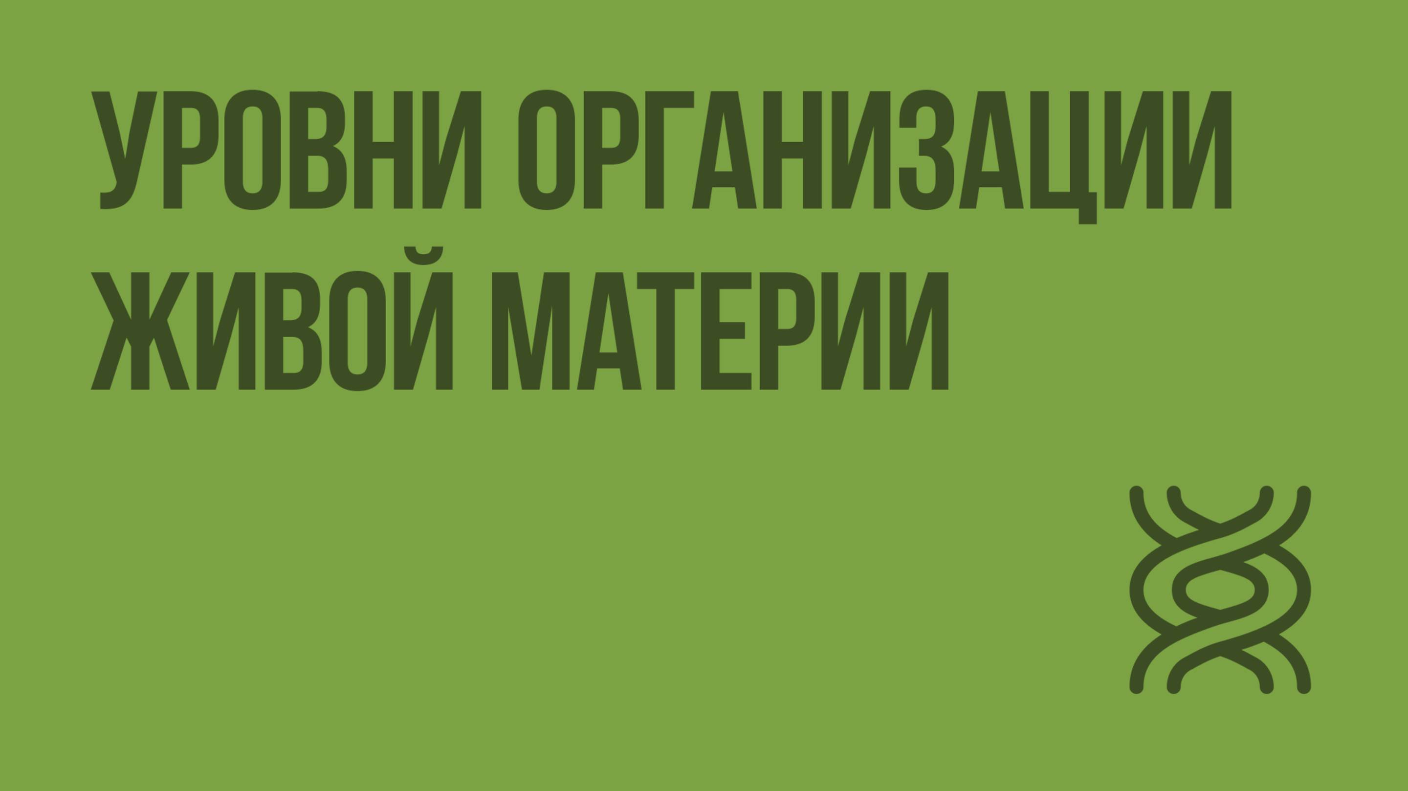 Уровни организации живой материи. Видеоурок по биологии 10 класс