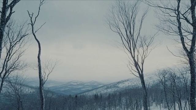 ДЫМ ЛЮБВИ (слова Евы Даль)