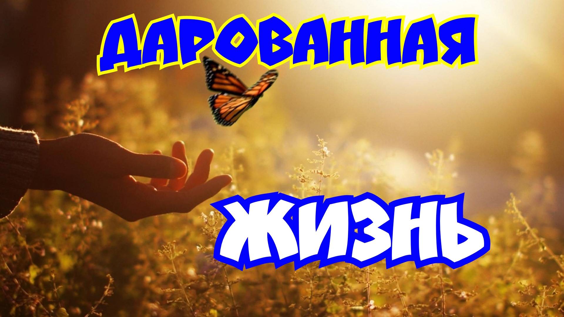 Дарованная Жизнь. 25.01.25г.