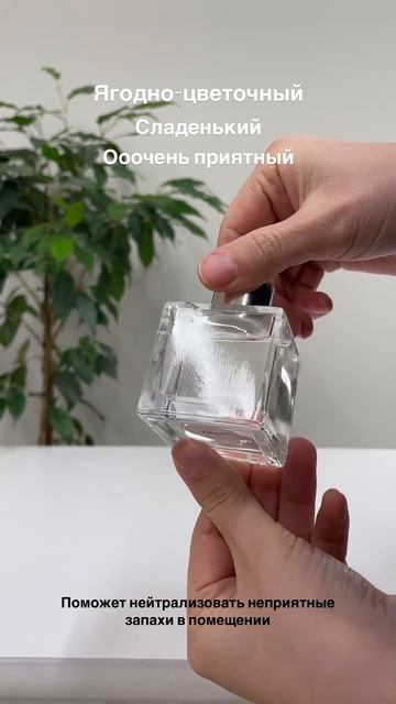 Ароматические диффузор детокс BAGO home