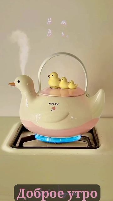 VID-20250121-WA0004.mp4
