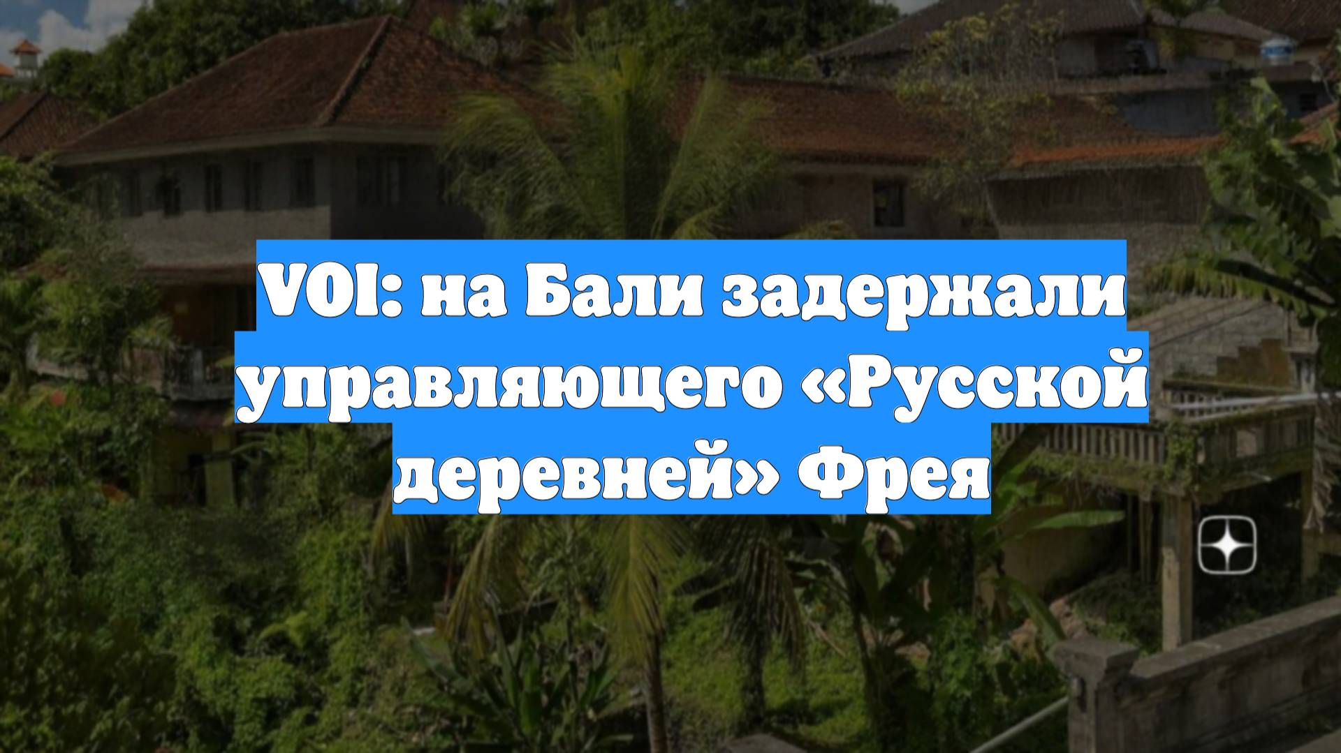 VOI: на Бали задержали управляющего «Русской деревней» Фрея