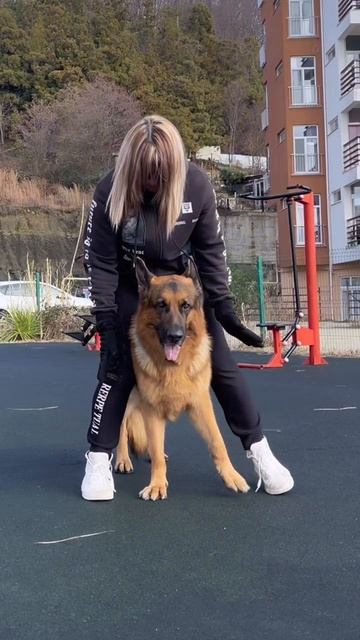 Что ни день , то трень …💪🏻
А песня классная …