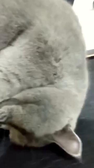 Села батарейка