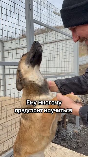Шериф👮♂️
