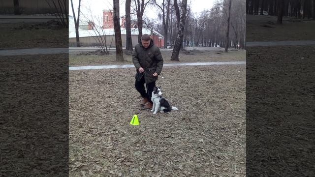 Трен8 25.01.2025