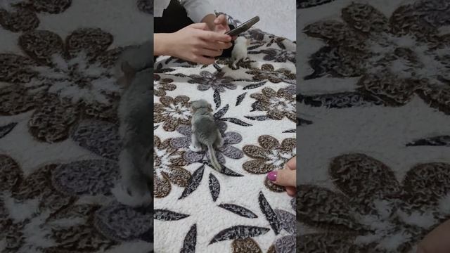 1000759967.mp4