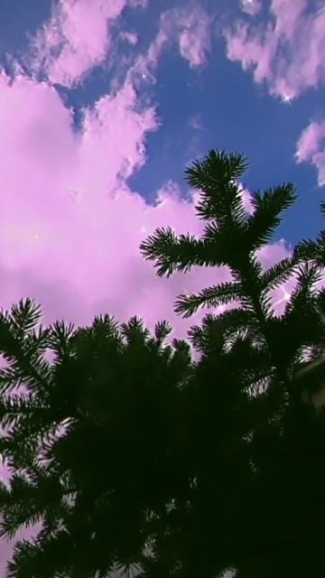 Эстетика.Эстетичное видео.Розовые облака✨️