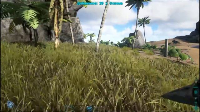 ARK Survival Evolved/Строим жилище