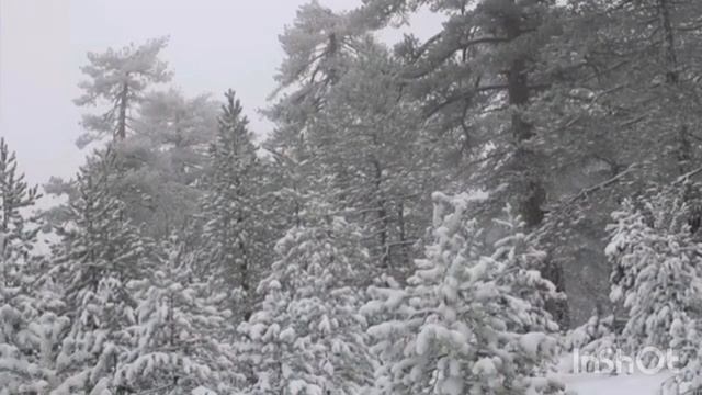 Отец Серафим Афонский о эклессиологии современности
