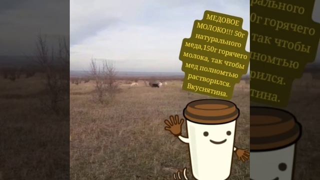 Video.Guru_20250125_152240409
