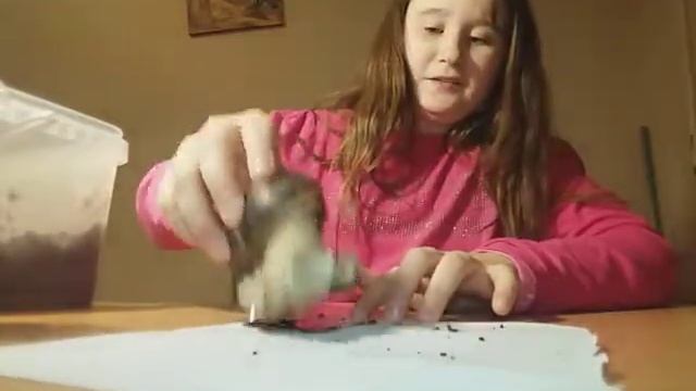 Мая улитка.😘😘😘