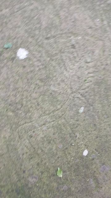 1000044350.mp4
